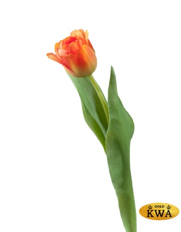 Тюльпан Даймонд оранжевый в-44см, цветок в-5, д-5 см 12/144