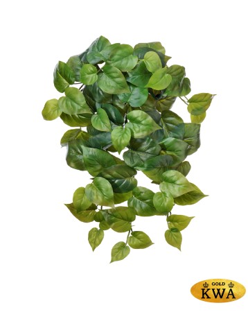 Филодендрон крупнолистный ампельный средний 45 см (Sensitive Botanic) (66 листов) 6/24