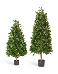 Лавр пирамида люкс 110 см 2/2