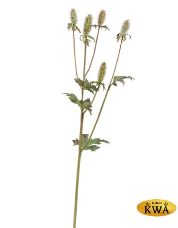 Эрингиум Элегант светло-зелёный в-52 см 12/144