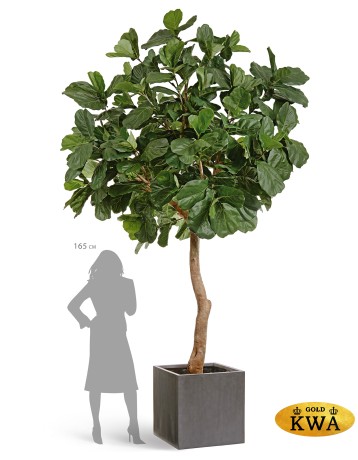 Кашпо TREEZ Effectory Beton Куб Тёмно-серый бетон 20х20х20 см