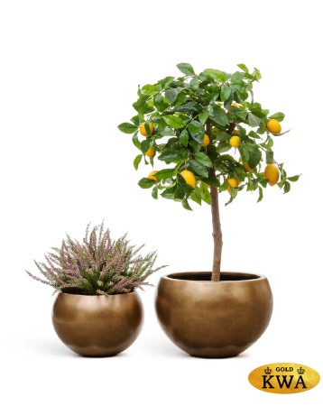 Кашпо TREEZ Effectory Metal Полусфера Тёмное матовое золото д-32 см, в-23 см