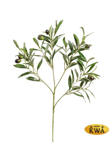 Ветка оливы натуральной с плодами 50 см 12/240