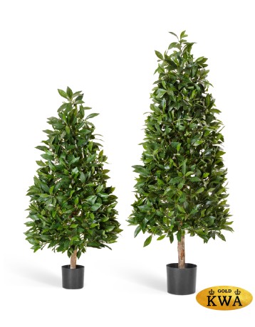 Лавр пирамида люкс 170 см 2/2