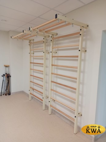 Шведская стенка комбинированная - КОМБИ - ТРУС (стенка + турник-рукоход с узким хватом стационарный)