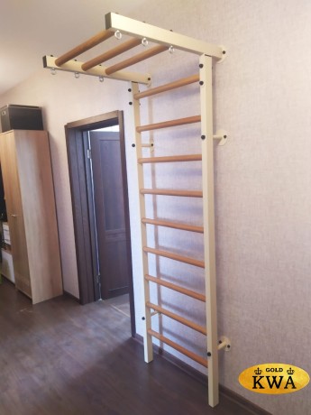 Шведская стенка комбинированная - КОМБИ - ТРУС (стенка + турник-рукоход с узким хватом стационарный)