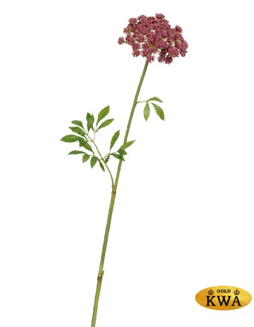 Анна Королевская светло-бордовая в-62 см, д-11 см 12/120