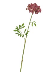 Анна Королевская светло-бордовая в-62 см, д-11 см 12/120