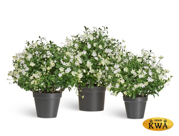 20.0224072WH-S Полевые цветы микс куст Малый белый в-36 см, д-35 см 6/18