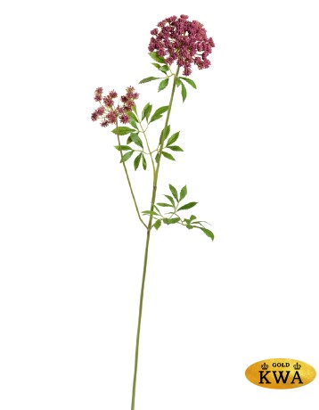 Анна Королевская ветвь большая светло-бордовая в-92 см 2 зонтика (11 и 5 см) 6/48