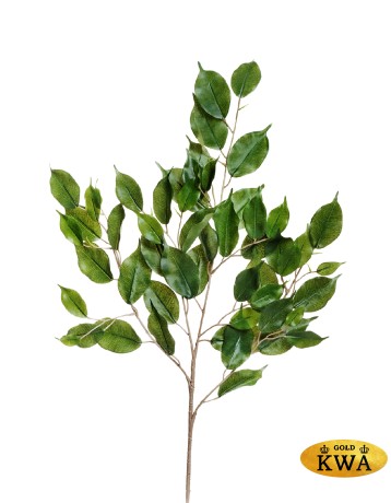 Ветка фикуса Бенджамина 75 см 24/240