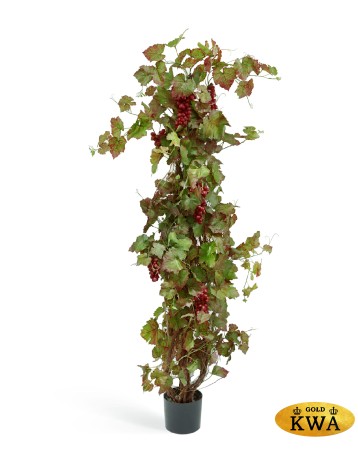 Виноградная лоза с красным виноградом 160 см 2/2
