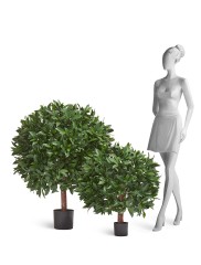 Лавр круглый с UV-фильтром уличный д-65 см в-70 см 2/2