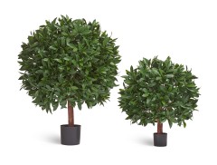 Лавр круглый с UV-фильтром уличный д-65 см в-70 см 2/2