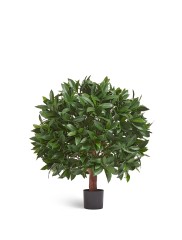 Лавр круглый с UV-фильтром уличный д-65 см в-70 см 2/2