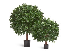 Лавр круглый с UV-фильтром уличный д-65 см в-70 см 2/2