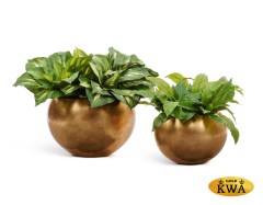 Кашпо TREEZ Effectory Metal Полусфера Сусальное золото д-22 см, в-15 см