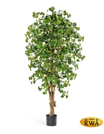 Гинкго Форест в-210 см 2/2