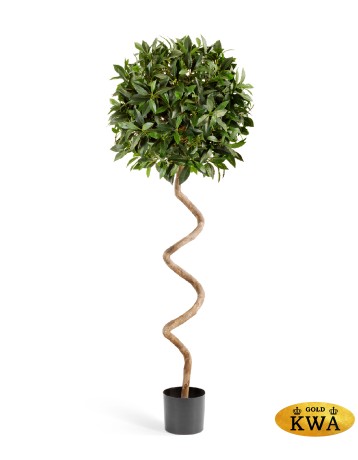 Лавр шар спираль 150 см д-50 см 2/2