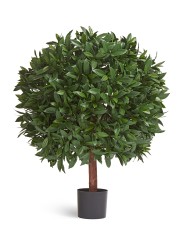 Лавр круглый с UV-фильтром уличный д-80 см в-105 см 2/2