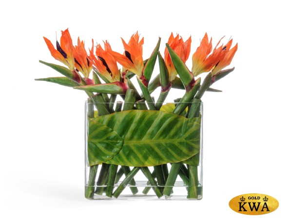 ХХХКомпозиция Стрелиции в Листах в стекле с водой 47 см 1/2