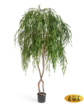 Ива плакучая 240 см 2/2