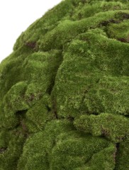 ХХХШар из мха д-40 см (Арт-объект) 1/1