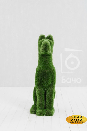 Топиари ландшафтная фигура Дог