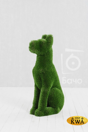 Топиари ландшафтная фигура Дог