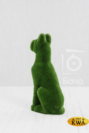 Топиари ландшафтная фигура Дог