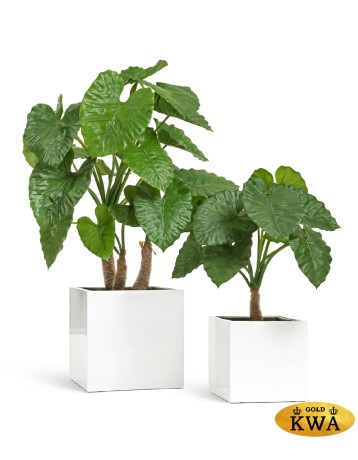 Кашпо TREEZ Effectory Gloss куб Белый глянцевый лак 30х30х30 см