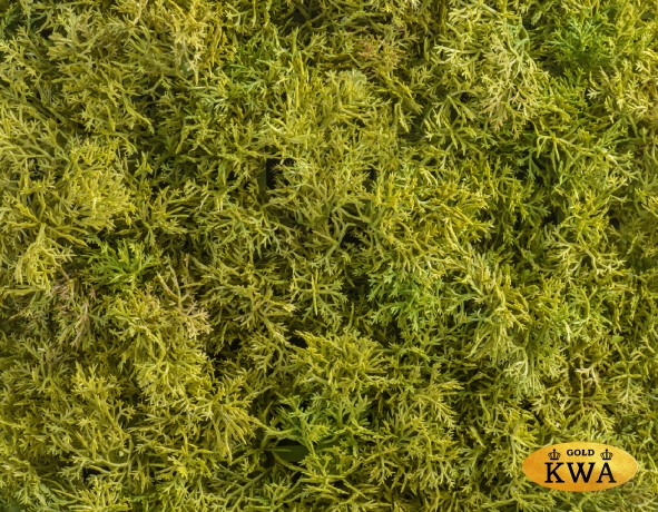 Мох Ягель коврик светло-зелёный микс 25х50 см (пластик) 20/20