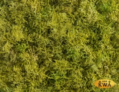 Мох Ягель коврик светло-зелёный микс 25х50 см (пластик) 20/20