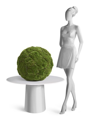 ХХХШар большой из мха д-55 см (Арт-объект) 1/1