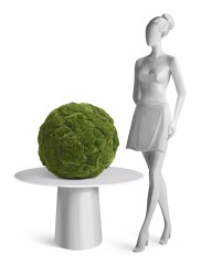 ХХХШар большой из мха д-55 см (Арт-объект) 1/1