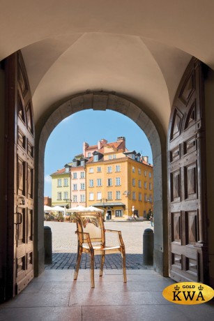 Кресло прозрачное