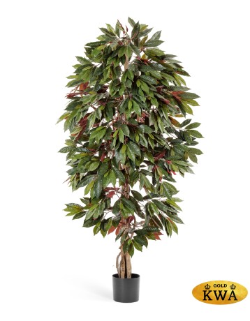 Капенсия 180 см 2/2