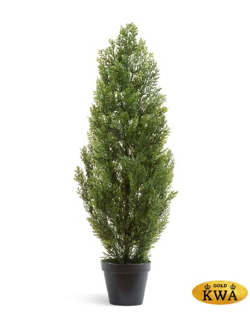 Туя уличная Эйр Элеганс в-90 см 4/12