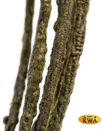 Ветки лозы декоративные (связка 6 шт.) д-125 см 12/144