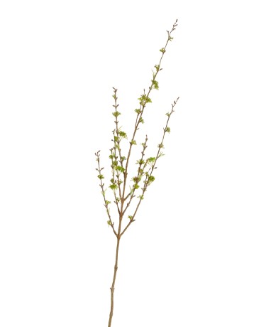 Ветка Корнелиан Черри нежно-зелёная в-105 см 12/168