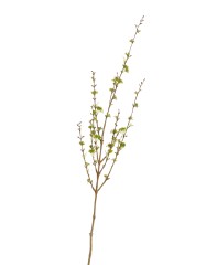 Ветка Корнелиан Черри нежно-зелёная в-105 см 12/168