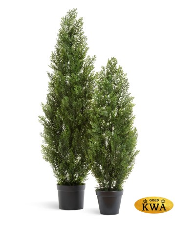 Туя уличная Эйр Элеганс в-150 см 2/4