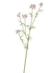 Ранункулюс Полевой нежно-розово-сиреневый в-71 см, 3 ветки 12/96