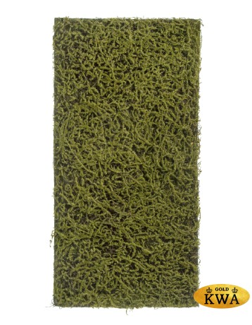 Мох Сфагнум Fuscum оливково-зелёный (полотно на подложке среднее) 50х100 см 24/24