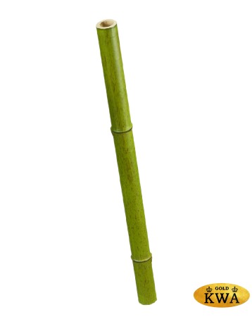 Бамбук стебель полый св. зелёный толстый в-60 см, д-4 см 6/48