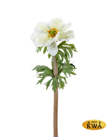 Анемон белый д-10, в-42 см 24/120