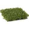 Газон-коврик Медовый Мох 25,5х25,5 см в-5,5 см (пластик) 6/72