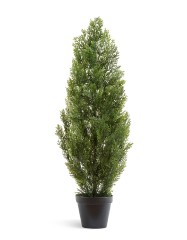 Туя уличная Эйр Элеганс в-210 см 1/1