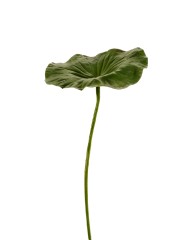 Лист Лотоса в-70 см, д-25х20 см 6/36