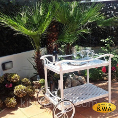 Сервировочный стол из литого алюминия